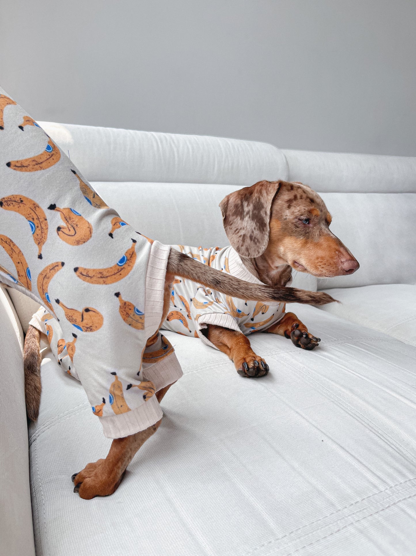 Pijama bananitos x pets