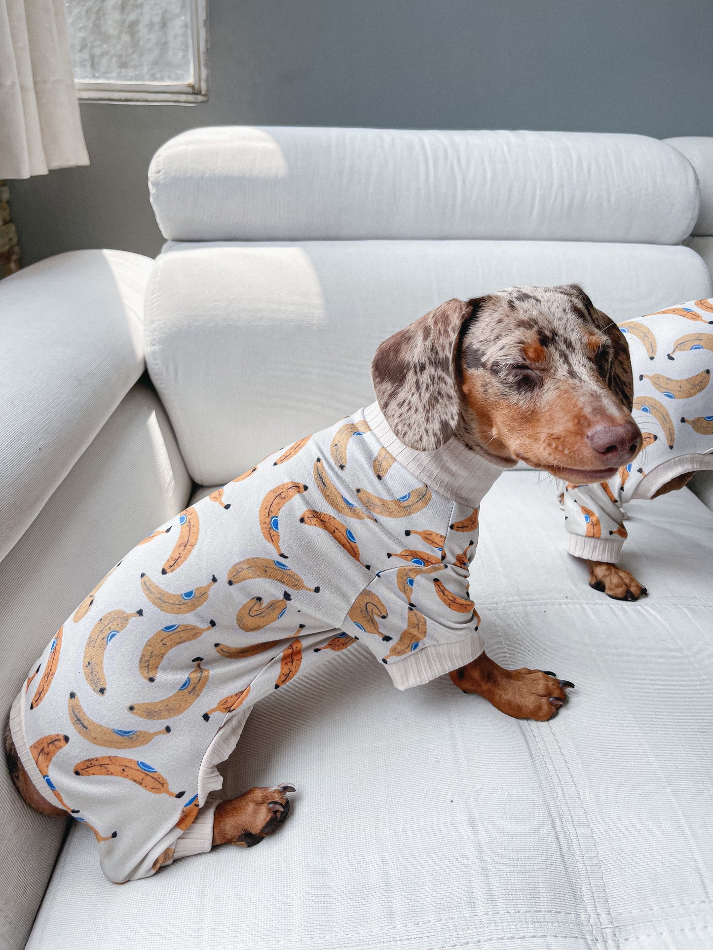 Pijama bananitos x pets