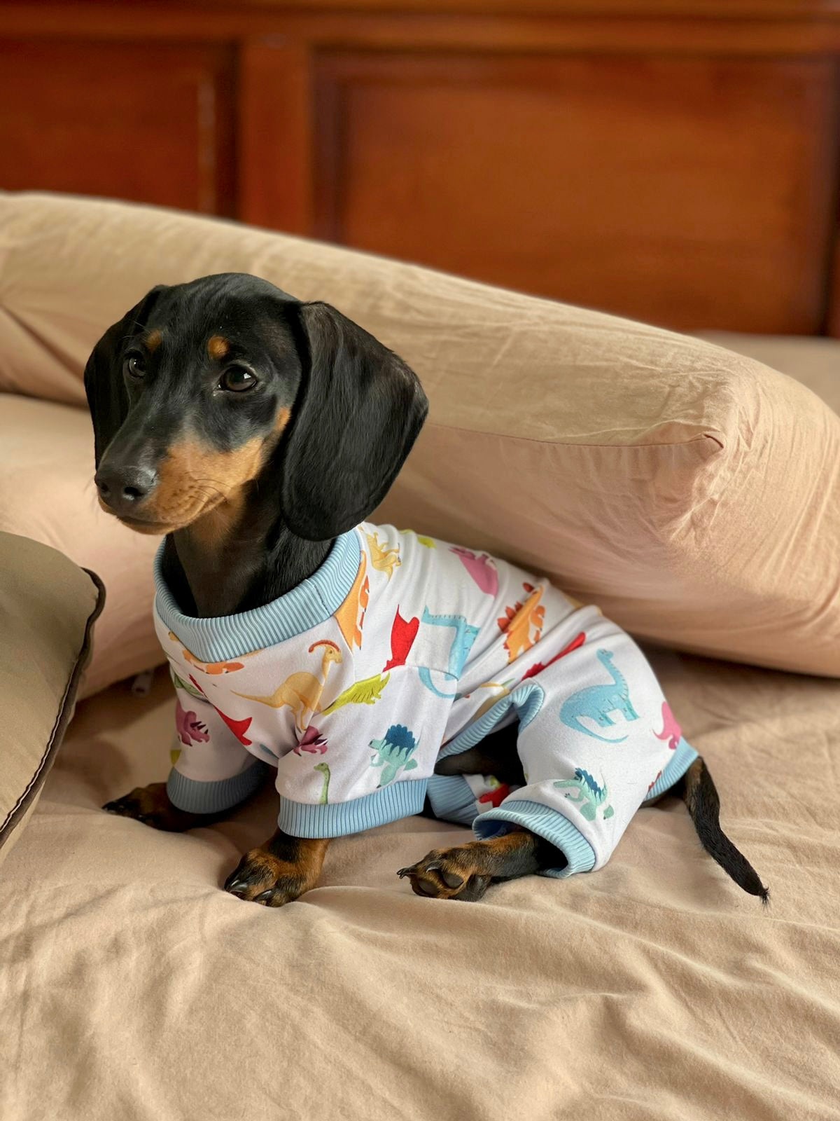 Pijama dino colors x pets