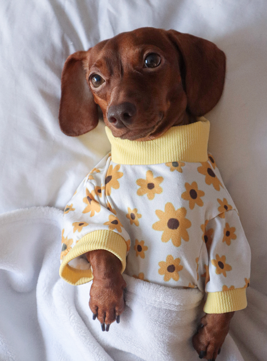 Pijama girasoles x pets