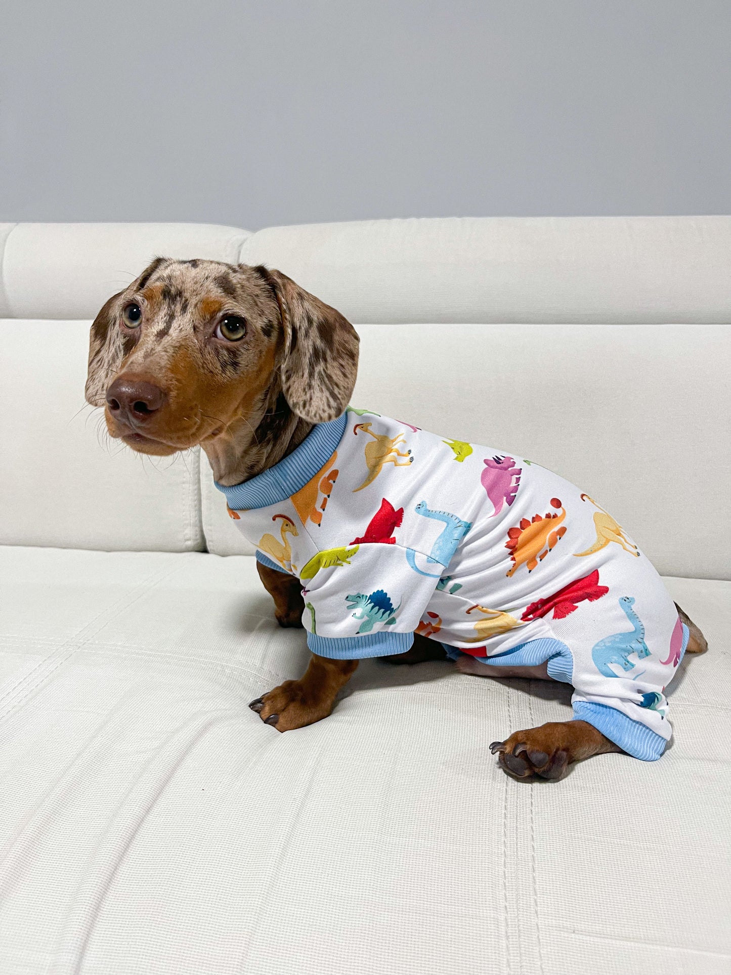 Pijama dino colors x pets