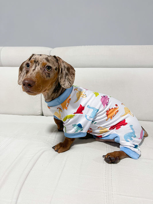 Pijama dino colors x pets