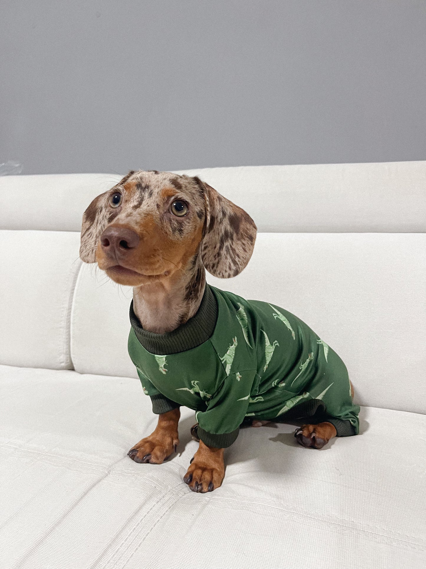 Pijama T-Rex x pets