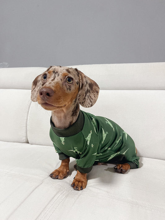 Pijama T-Rex x pets
