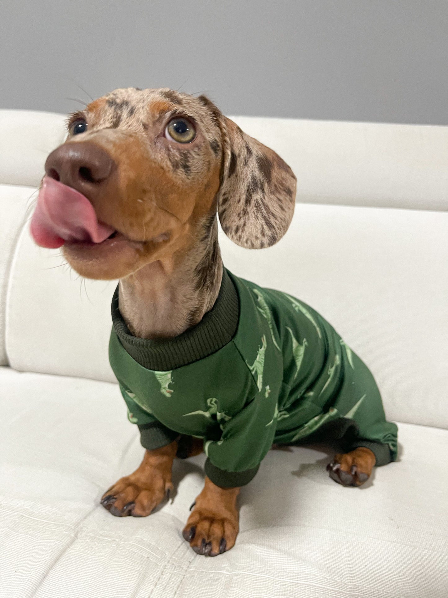 Pijama T-Rex x pets